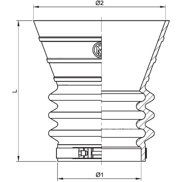 SitePH4-STE_111769_.jpg